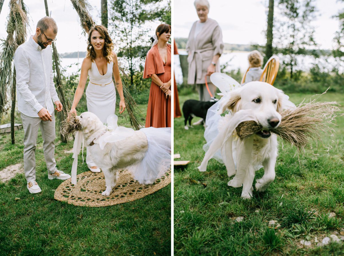 plenerowy ślub zero waste, free-spirit wedding, pies na ślubie